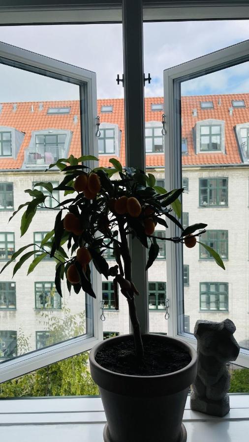 Apartmentincopenhagen 1511 Kopenhagen